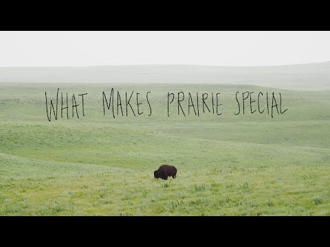 Why are the prairies important to Canada?