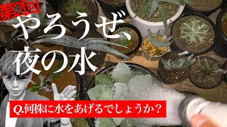 一晩で１００種以上の植物に水をやる男をご覧頂きます。