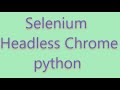 selenium headless chrome in python