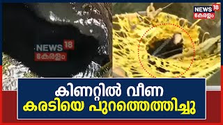 Bear Fell Into Well | Thiruvananthapuram Vellanad കിണറ്റിൽ വീണ കരടിയെ പുറത്തെത്തിച്ചു | Kerala News