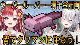 【にじ若手女子マイクラ 】ウーパールーパーで一攫千金計画を立てるソフィとベリーちゃんがかわいすぎる【ソフィア・ヴァレンタイン切り抜き/早乙女ベリー/にじさんじ切り抜き】