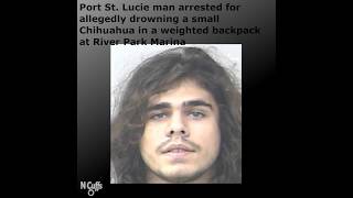 Port St. Lucie man Evan Pavone arrested for allegedly drowning small dog inside weighted backpack