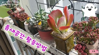 베란다 걸이대에서 틈새 활용하는 방법🪴 간단한 설치로 다육이를 예쁘고 건강하게 키워요🙂