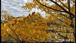 커피향 가득한 거리 / 신형원