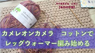 カメレオンカメラ　コットンでレッグウォーマー編み始める【本日の手芸】today's handicraft