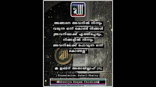 നിങ്ങളുടെ ദുർഗുണങ്ങൾ ഇല്ലാതായി അല്ലാഹുവിലേക്ക് എത്താൻ ശ്രമിച്ചാൽ. ..🔹 #islamic