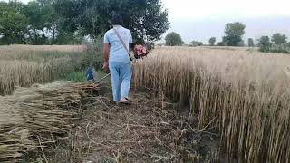 Wheat Cutter in Pakistan| گندم کاٹنے کی مشین