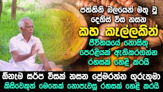 පත්තිනි බලයෙන් මතු වූ දෙතිස් විස නසන කහ කෑල්ලකින් ජීවිතයේ නොසිතූ පෙරළියක් ඇතිකරගන්න රහසක්