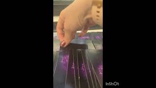 Ava Baroni Combs Tarot Reading.