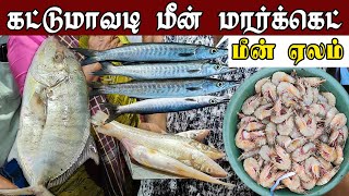 பாறை மீன் ஏலம் கட்டுமாவடி மீன் மார்க்கெட் || Kattumavadi Meen Market