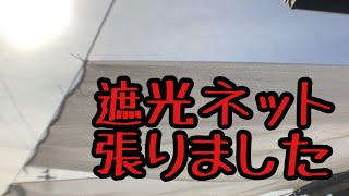 遮光ネット張りました　2021/04/10 メダカ日誌