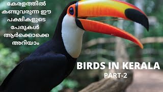 BIRDS IN KERALA- Part 2 (കേരളത്തിൽ കണ്ടുവരുന്ന പക്ഷികളും അതിന്റെ പേരുകളും)