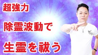 【寝ながら聞くだけで】超強力、除霊波動で生霊を祓う〜プロ霊能力者のガチヒーリング