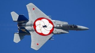 梅組の塗装が良く見えたのはこっちF-15機動飛行午前の部