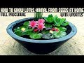 How to Grow Lotus Plant at Home With Updates( FAST N EASY METHOD)