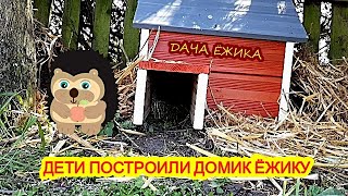 ЁЖИКУ ПОСТРИЛИ ДОМИК НА ДАЧЕ/ЖДЁМ КОГДА ПРИДЁТ.