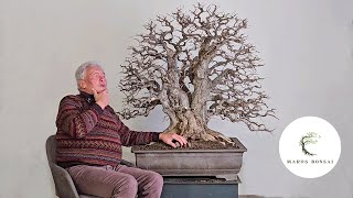 Walter Pall Explains the BIG Difference Between Traditional and Naturalistic Bonsai Style