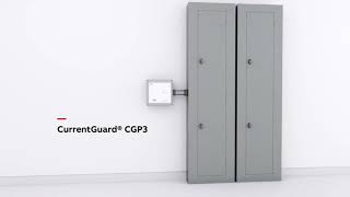 Safeguard your capital investments with powerful CurrentGuard® CG3 and CurrentGuard® CGP3 SPDs