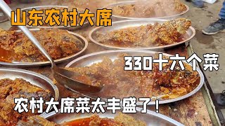 随100来山东临沂农村搂席，330十六个菜一个汤，惊呆了【我是忐忑妞】