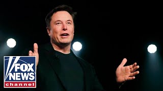 If it weren't for Elon Musk, we'd be approaching totalitarianism: Shellenberger