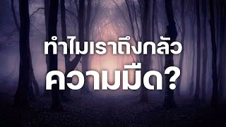 สารคดี 10 นาที - ทำไมเราถึงกลัวความมืด?