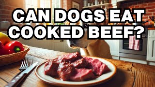 Can Dogs Eat Cooked Beef? Explained