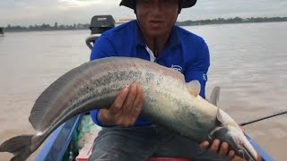 PHẦN 6 - CÂU CÁ SÔNG MEKONG - CÂU CÁ LEO 3KG