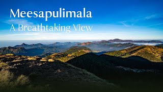 Hiking to the Top of Meesapulimala: A Breathtaking View | Kerala Tourism #DreamDestinations