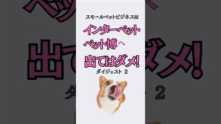 短編2●ドッグイベントを4種分類して分析●ドッグマルシェ●ドッグフェス●インターペット●ペット博●ペットビジネス副業起業 #shorts