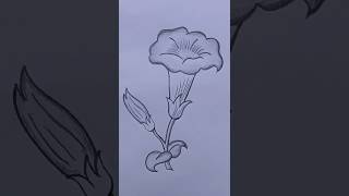 How to draw a simple flower ##rose##simple drawing ##