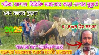 বানজোড়া বিরিঞ্চি মাহাতোর কাড়া আসর লেগার মুহূর্তে  দেখুন রকেট বরাবর ছুটে যাচ্ছে #shorts#viral#cow##