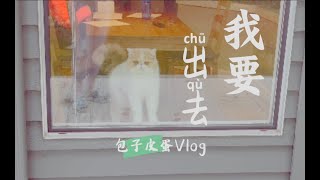 包子皮蛋Vlog—我们要出去！