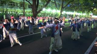 倭乃国（よさこい祭り2014）全国大会・追手筋南