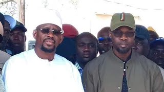 Affaires Moustapha Diop et Farba Ngom: grosses révélations de Me Tall: \