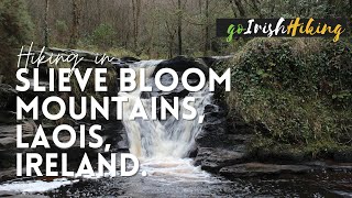 Hiking in Ireland | Old Mill Loop | Slieve Bloom Mountains