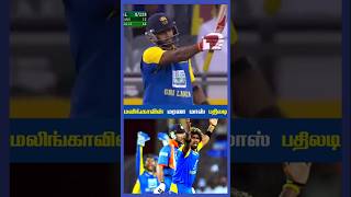 🏏சீண்டிய Australia⁉️!... நொறுக்கிய Lasith Malinga!🔥‼️ #shorts #cricket #shortscricket #cricketshorts