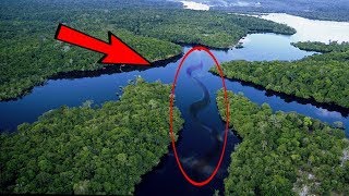 अमेजन जंगल के 5 सबसे खतरनाक जानवर 5 Most Deadliest Creatures Of The Amazon YOU WONT BELIEVE EXIST!