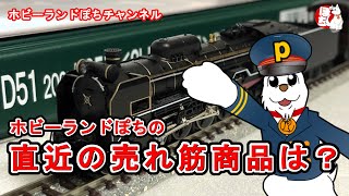 【ホビーランドぽち】Nゲージ ホビーランドぽちでの売れ筋は？【鉄道模型】