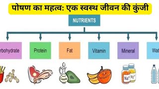 पोषण का स्वास्थ्य में महत्व_ स्वस्थ जीवन की कुंजी