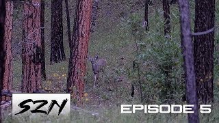 GIANT COUES BUCK | Bull Busts Us | BIG MULEY SHED