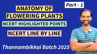 Anatomy of Flowering Plants in Tamil | Part 1 | NCERT Line by line | TB 2025