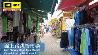 【HK 4K】錦上路跳蚤市場 | Kam Sheung Road Flea Market | DJI Pocket 2 | 2022.06.25