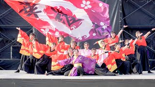 [4K] 京炎そでふれ！華羅紅　こいや祭り 2024 日曜日 (中央)