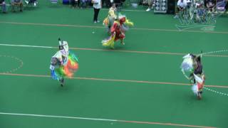 Fancy Shawl - 2016  Shakopee Pow Wow - PowWows.com