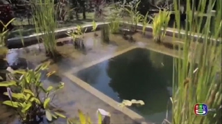 The first Tropical Organic pool - in Thailand