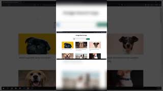 JavaScript Project Tutorial: Building an Image Search App using JavaScript API