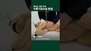 강아지가 떠난 후, 바로 해야할 사후기초수습 #강아지장례