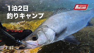 ＃47 地磯ランガン1泊2日の激闘釣りキャンプ荒磯の王者を狙え