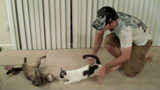 Mean Kitty - Love Me, Beat Me 7.30.09