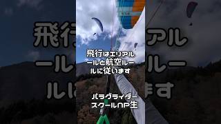 空の交通ルール交差する時は右側機体が優先😰ノービスパイロット🐦青い翼に乗る🚀 #パラグライダー #青い翼 #paragliding